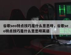 谷歌seo特点技巧是什么意思呀，谷歌seo特点技巧是什么意思呀英语