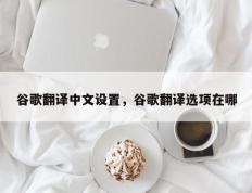 谷歌翻译中文设置，谷歌翻译选项在哪