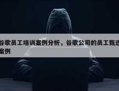 谷歌员工培训案例分析，谷歌公司的员工甄选案例