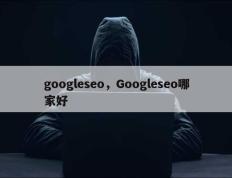 googleseo，Googleseo哪家好