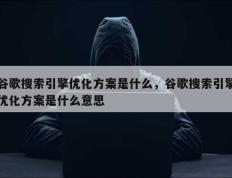 谷歌搜索引擎优化方案是什么，谷歌搜索引擎优化方案是什么意思