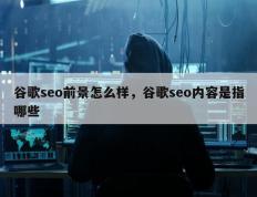 谷歌seo前景怎么样，谷歌seo内容是指哪些