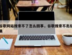 谷歌网站搜索不了怎么回事，谷歌搜索不出结果