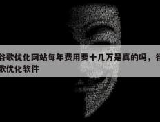 谷歌优化网站每年费用要十几万是真的吗，谷歌优化软件