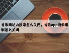 谷歌网站内搜索怎么关闭，谷歌app搜索限制怎么关闭