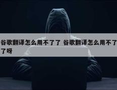 谷歌翻译怎么用不了了 谷歌翻译怎么用不了了呀