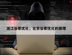 浙江谷歌优化，北京谷歌优化的原理