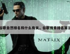 谷歌自然排名和什么有关，谷歌搜索排名算法