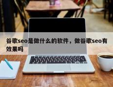 谷歌seo是做什么的软件，做谷歌seo有效果吗