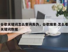 谷歌关键词怎么查询真伪，谷歌搜索 怎么看关键词数据
