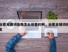 谷歌关键词指数怎么设置的啊，谷歌关键词排名