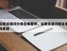 谷歌关键词分类在哪看啊，谷歌关键词排名查询系统