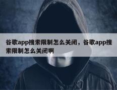 谷歌app搜索限制怎么关闭，谷歌app搜索限制怎么关闭啊