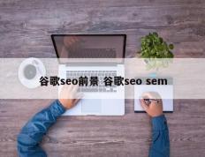 谷歌seo前景 谷歌seo sem