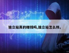 独立站真的赚钱吗,独立站怎么样。