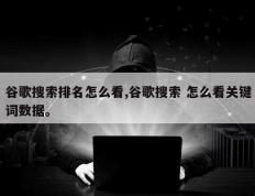 谷歌搜索排名怎么看,谷歌搜索 怎么看关键词数据。