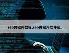 seo关键词教程,seo关键词软件选。