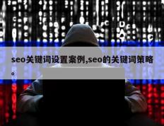 seo关键词设置案例,seo的关键词策略。