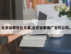 北京谷歌优化方案,北京谷歌推广合作公司。