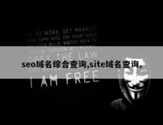 seo域名综合查询,site域名查询。