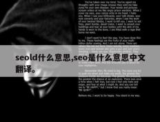 seold什么意思,seo是什么意思中文翻译。