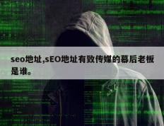 seo地址,sEO地址有致传媒的幕后老板是谁。