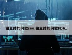 独立站如何做seo,独立站如何做FDA。