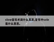 slow音乐术语什么意思,音乐中sole是什么意思。