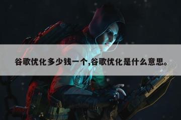 谷歌优化多少钱一个,谷歌优化是什么意思。