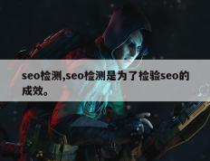 seo检测,seo检测是为了检验seo的成效。