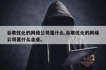 谷歌优化的网络公司是什么,谷歌优化的网络公司是什么企业。