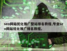 seo网站优化推广整站排名教程,专业seo网站优化推广排名教程。