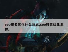 seo排名优化什么意思,seo排名优化怎样。