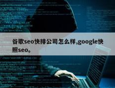 谷歌seo快排公司怎么样,google快照seo。