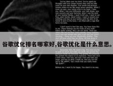 谷歌优化排名哪家好,谷歌优化是什么意思。