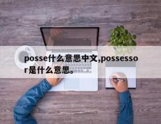 posse什么意思中文,possessor是什么意思。