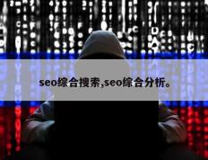 seo综合搜索,seo综合分析。