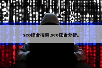 seo综合搜索,seo综合分析。
