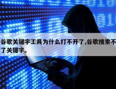 谷歌关键字工具为什么打不开了,谷歌搜索不了关键字。