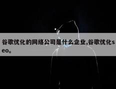 谷歌优化的网络公司是什么企业,谷歌优化seo。