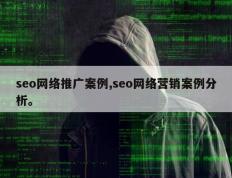 seo网络推广案例,seo网络营销案例分析。