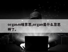 orgasm啥意思,organ是什么意思啊了。