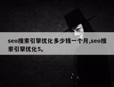 seo搜索引擎优化多少钱一个月,seo搜索引擎优化5。