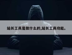站长工具是做什么的,站长工具功能。