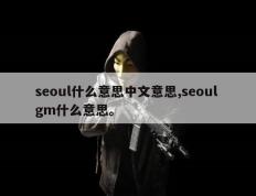 seoul什么意思中文意思,seoul gm什么意思。