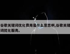 谷歌关键词优化费用是什么意思啊,谷歌关键词优化服务。