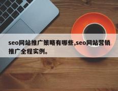 seo网站推广策略有哪些,seo网站营销推广全程实例。