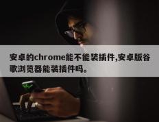 安卓的chrome能不能装插件,安卓版谷歌浏览器能装插件吗。