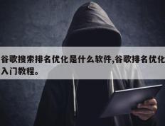 谷歌搜索排名优化是什么软件,谷歌排名优化入门教程。