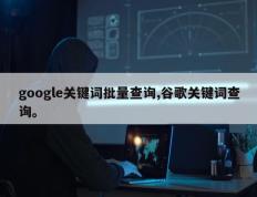 google关键词批量查询,谷歌关键词查询。